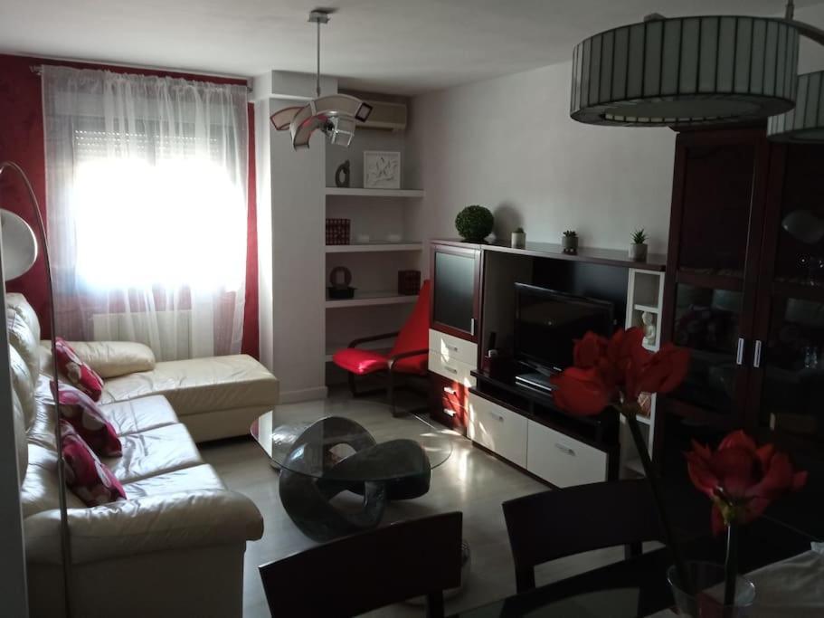 Piso Auringis * Jaen